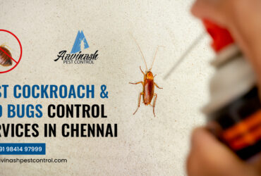 Pest Control Services in Chennai – Aavinashpestcontrol